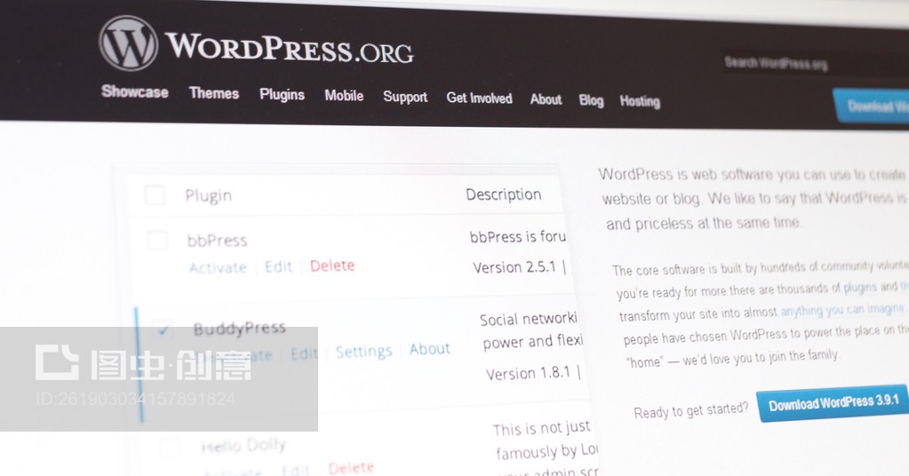 电脑屏幕上的Wordpress网站Wordpress website on a computer screen